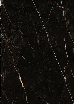 marquina-venatino